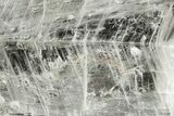Glassy Selenite Utah Ice Sheet- Hanksville, Utah #373018-1